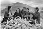 【品趣】三八妇女节至，每一个“她”都闪闪发光